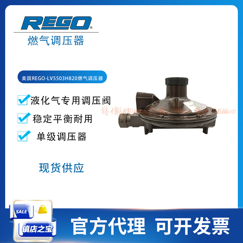 LV5503H820液化气减压阀力高RegO气体管道燃气调压器DN20防泄漏