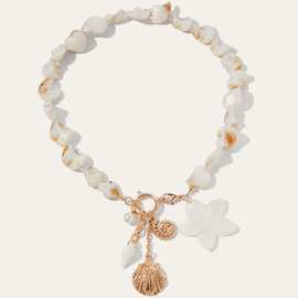 亚马逊跨境新款贝壳珠魅力项链精致高级感时尚通勤锁骨链2025饰品