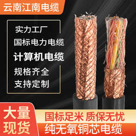 DJYPVP计算机电缆1-16芯1.52.5平方阻燃电缆线钢带屏蔽线工业级