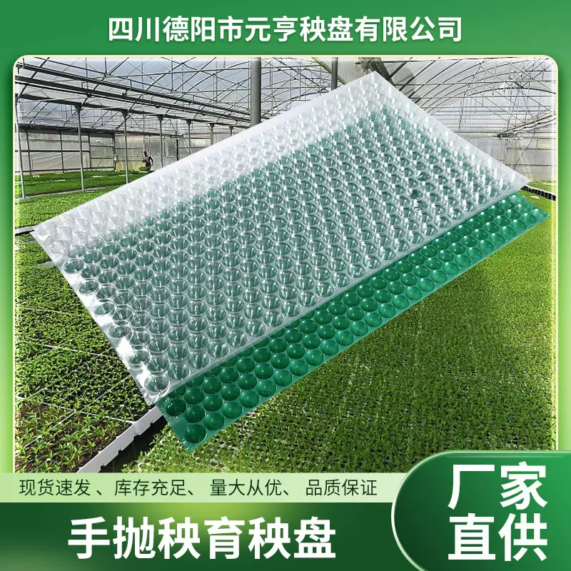 厂家定制水稻手抛育秧盘人工抛秧晚稻育苗盘434孔353孔花盆