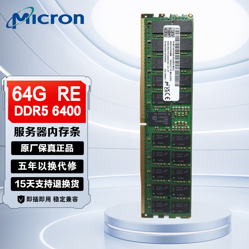 DDR5 ECC RDIMM REG RECC PC5 server memory module