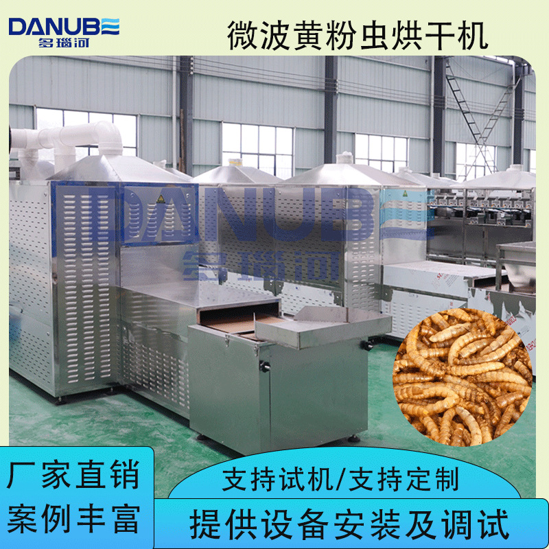 微波黄粉虫烘干机 隧道式蝇蛆虫黑水虻膨化干燥机 大麦虫烘干设备