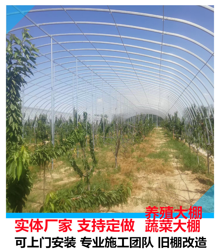 拆迁占地简易大棚 容易搭建的大棚 造价低的大棚 拆迁赔偿大棚