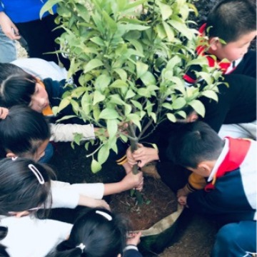 Cubo de almacenamiento de acero inoxidable Cubo vacío Tanque de almacenamiento de aceite 304 Cubo de vino empapado Cubo de transporte de leche de té Cubo de aceite sellado