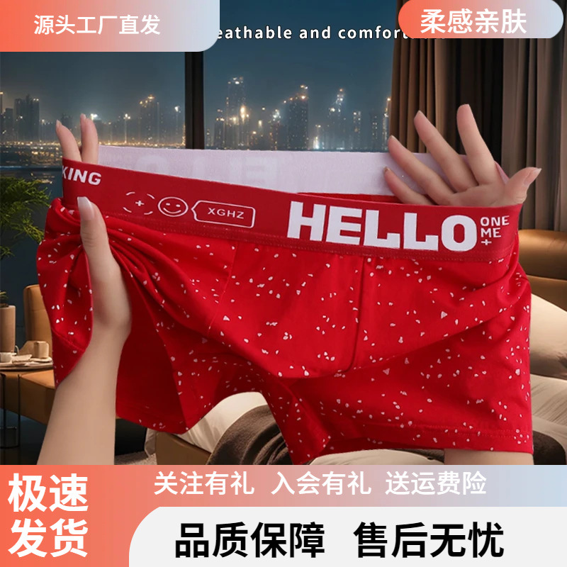 Briefs