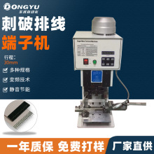 |ԄožәCCƤәCTٴәC