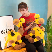 ���C�ػ�ɳĮ�񄹫��ë�q���С������żצ�C���޿羳���N