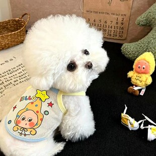 �ı�����W���U�յ�������С��Ȯ͸�����̩�Ͽ�ͨ�����˛�����