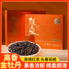 八百秀才高香金牡丹（限量版）礼盒英德红茶茶叶头春茶礼盒装送礼