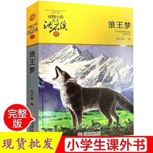 �����n������l��������ʯϪ����С�fС�W���n����x����D������