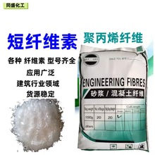 �ٰl�۱�ϩ�w�S�r�������ɰ�{�����w�S��·���B�úϳɾ۱�ϩ�w�S