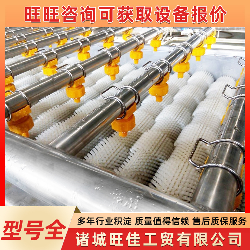平行毛辊清洗机 水果毛刷喷淋清洗设备 喷淋式大姜毛辊清洗机