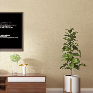 J8 Wallpaper Living Room Dining Room Waterproof Simple Modern Store Bedroom Pvc Japanese Pure Plain Color Wallpaper G3