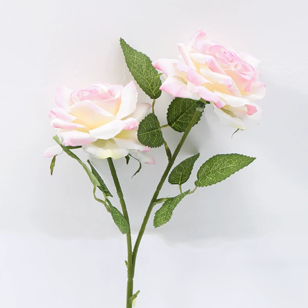 Pink rose
