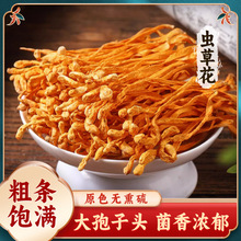 虫草花干货500g正品散装北虫草蛹虫草金虫草另售优选野生煲汤料