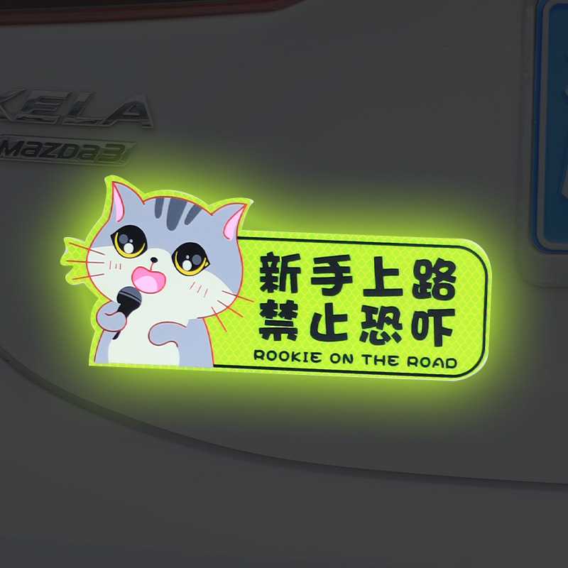 Internship post female driver novice on the road to keep the car…