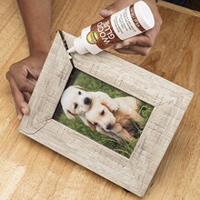 aleene's wood glue ľ�������ֹ���15623,35166