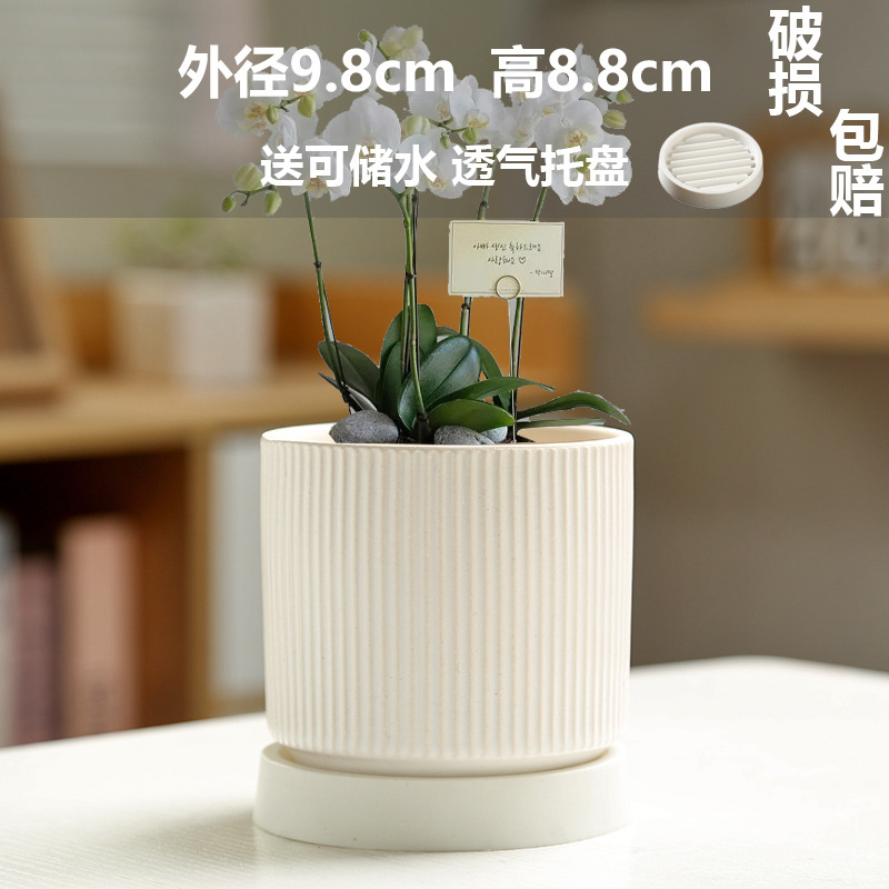 Maceta transpirable de estilo nórdico Phalaenopsis especial para el hogar con bandeja, planta verde simple creativa, maceta de cerámica carnosa