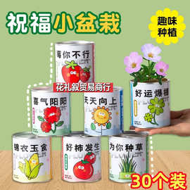 罐头种植绿植儿童礼物幼儿园学生活动分享奖品地摊地推奖品小商品