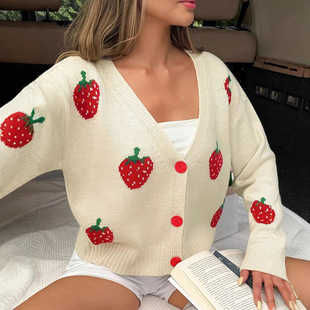 2025�W���羳���p�g�ٴ��ݮ���w�̽��_��ë���@��V�Iᘿ�����