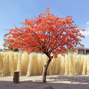 ��������٘��̈��Ƶ�e�����ͼt���҃������쾰���t����