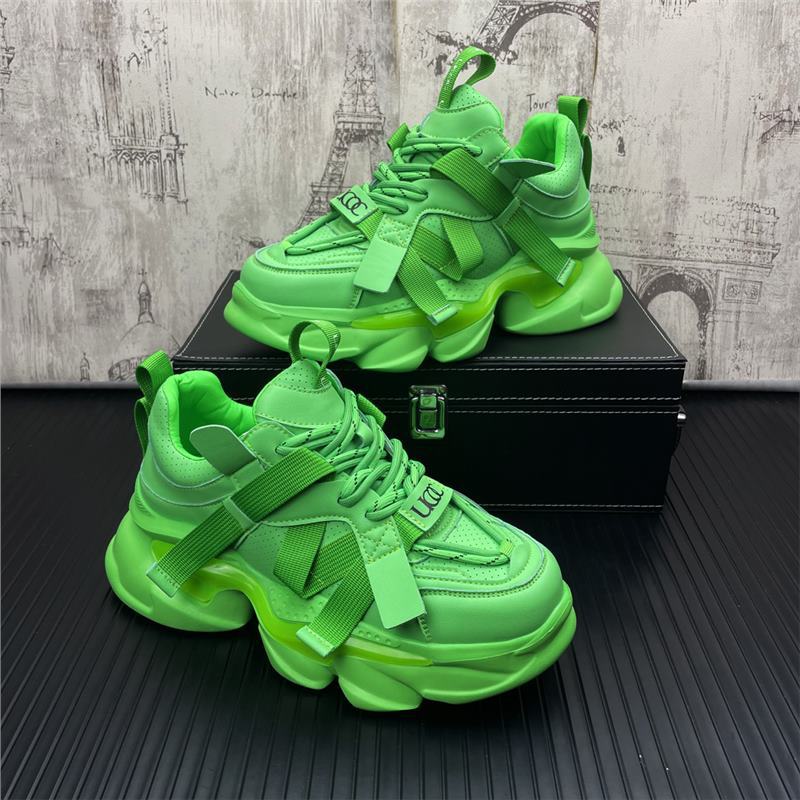 녹색 표준 모델