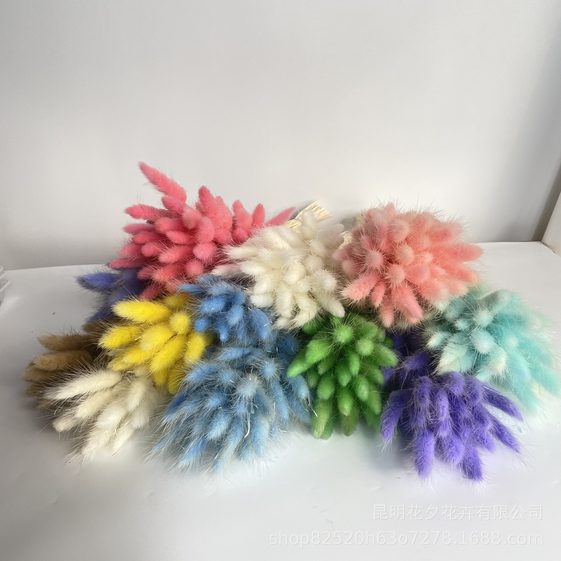 IMG_0357 - 副本.JPG