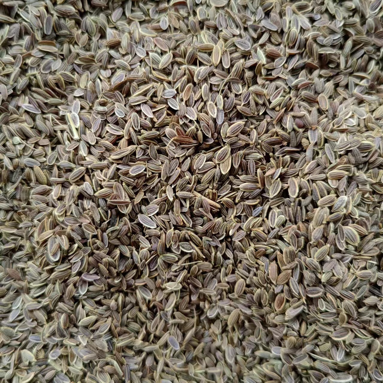 Qian Li Xiang (Murraya paniculata) — Dried Aromatic Herb for Braised Dishes & Spice Blends key features