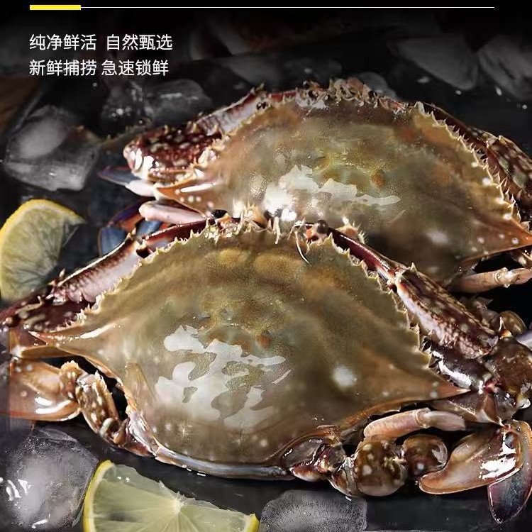 梭子蟹1斤2-3只新鲜冷冻大蟹大螃蟹海鲜水产冷冻海蟹飞蟹冻蟹顺丰