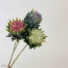 \ľ  @ˇ͏dӼҔ[ODIYˇ b