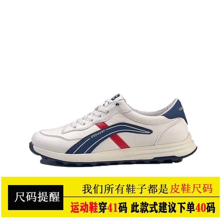 흰색 파란색