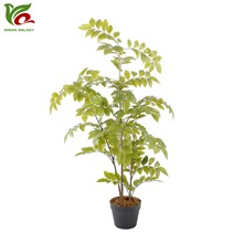 �G퍷����S���� �b���ؾGֲ�٘����� �҃ș���ֲ���㴻������