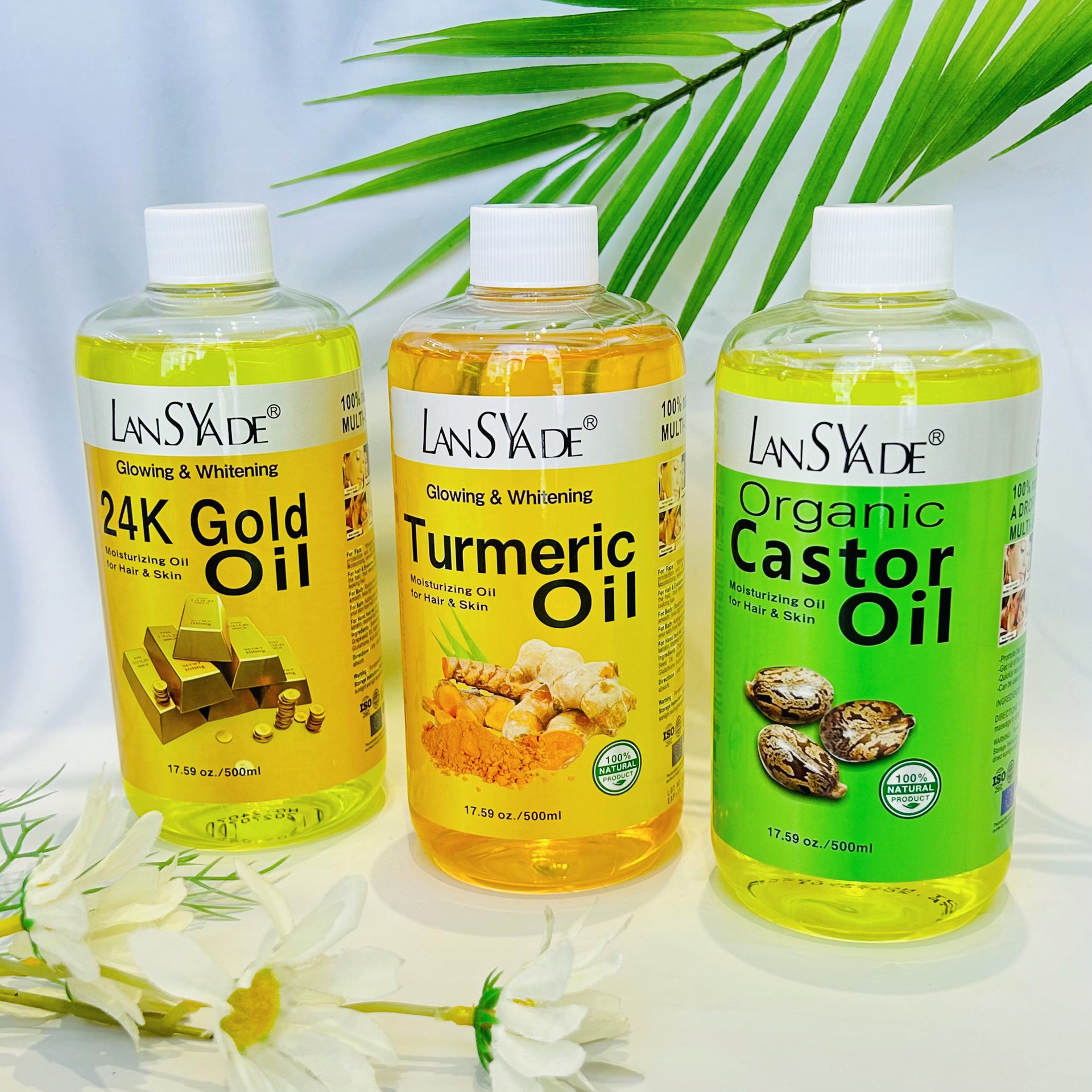 微信图片_20250414142521