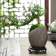 陶瓷中式花盆景绿植室内盆栽办公室桌面花容器花瓶客厅插花装饰