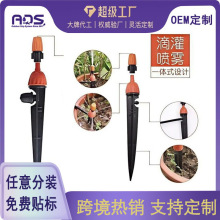 �ز�U��ɫ�F�����^�ι໨�@�Ԅӝ��������{�·�һ�w��ˮ��ȇ��^