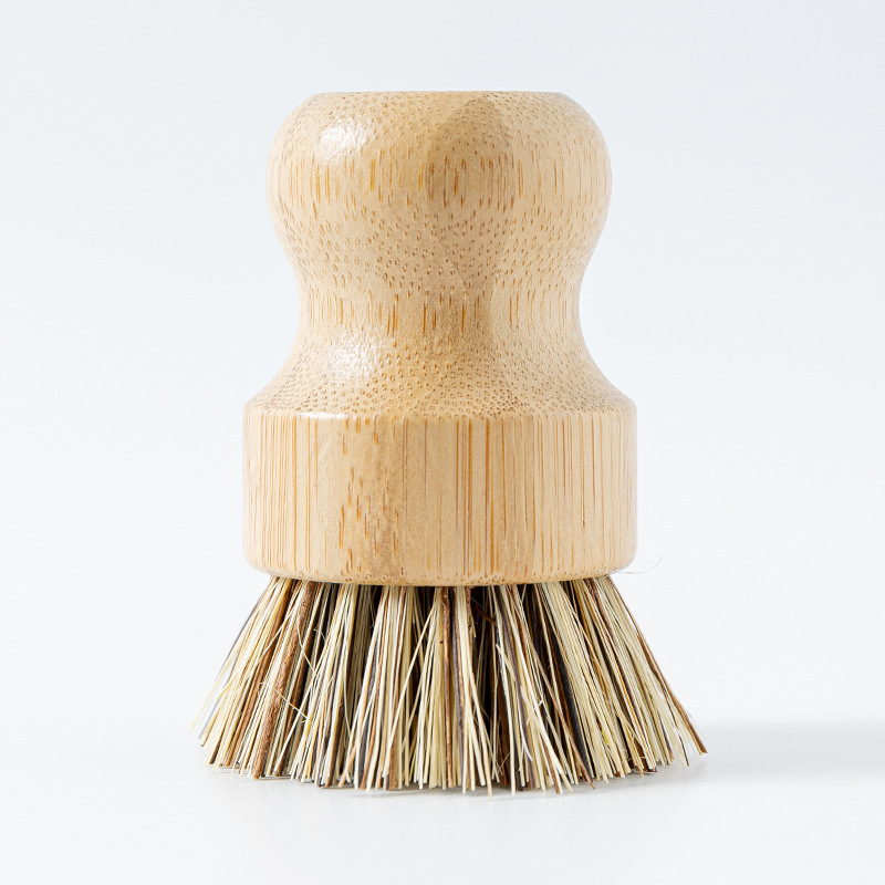 난주 코코넛 야자