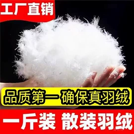 羽毛、羽绒;野营睡袋