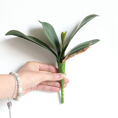 INS蝴蝶蘭葉子蘭花葉仿真花廠家家居裝飾婚慶手捧花牆植物牆假花