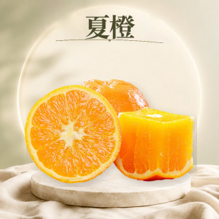 �����ĳ� ���l3/5/9���������S����ե֭���ļ������������rˮ��