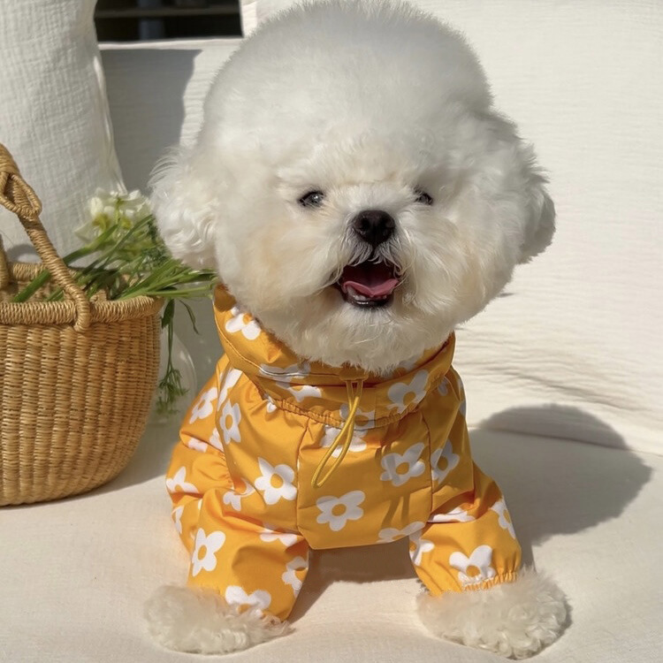 Ins style new South Korea all-in-one waterproof floret printed raincoat dog model cute hooded clothes pets Ins style new South Korea all-in-one waterproof floret printed raincoat dog model cute hooded clothes pets