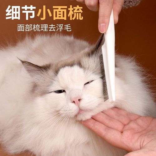 Pet Flea Comb, Small Dog and Cat Mouth Hair Comb, Dense Teeth Small Row Comb, Facial Comb, Small White Comb, Facial Cleaning Needle Comb