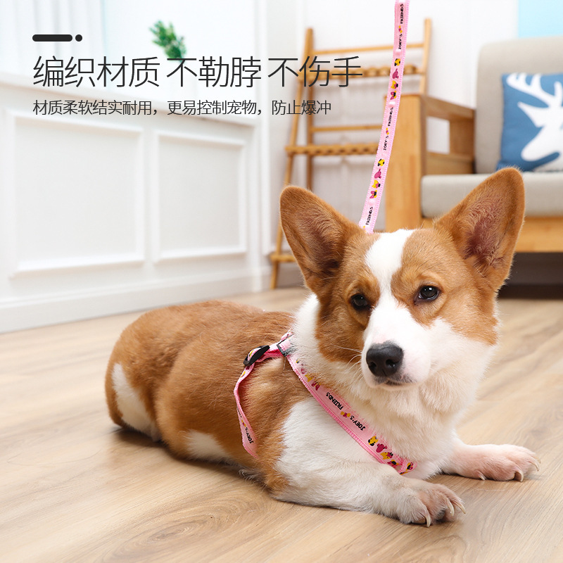 Cuerda de tracción para mascotas, correa para el pecho, pequeño y mediano Teddy Corgi, gato y perro paseando, juego de cuerda de tracción telescópica, impresión en forma de trabajo