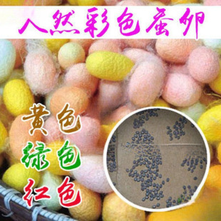 �Q�Ѳ�ɫ2024���Q���Q�Ӽ��Q�����b�Q��������Q�N����WУ