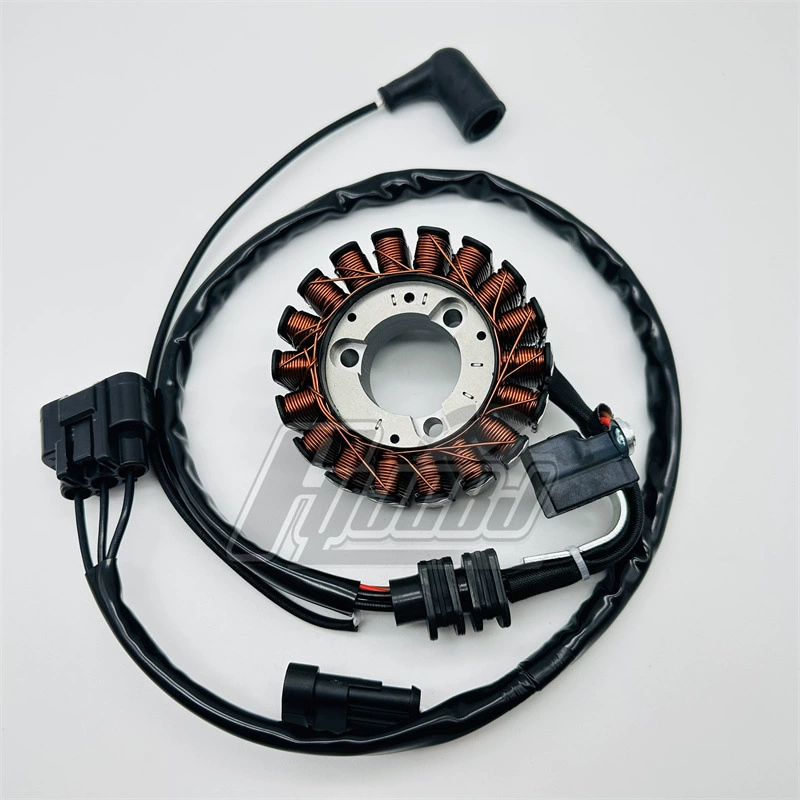 Поставка мотоцикла Longjia Vmax300 XDV250/300 магнитный мотор статор катушки