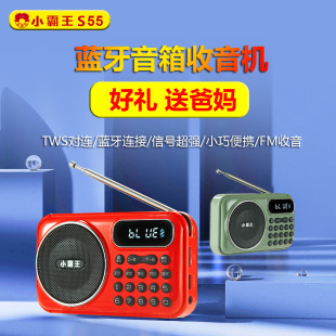 С����S55�����C������忨����๦��֧�֌��B���r�P�C�{������