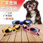 金毛拍照护目镜宠物狗墨镜