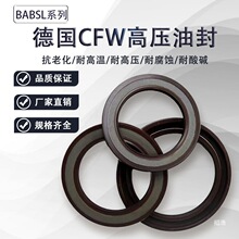 CFW�͸߉��Ǽ��ͷ�BABSL TBV TCV�ͷ��ͱ��R�_�ܷ�