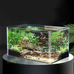 Fish Tank Gold Crystal White Living Room Office Hotel Lobby Viewing Large Fish Tank 20*14*16 1 Piece