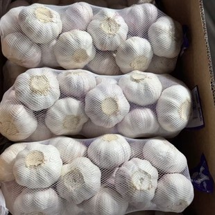 EXPORT���⵽�����ǡ�Ҏ���հ�5,5cm1kgС�W��10kg�����b���