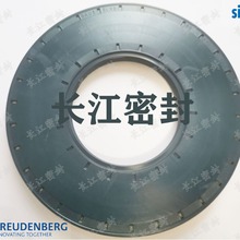 A CFW 1 BAU5 SLX2 CZ 85-130-10��SIMRIT�M�ڹǼ��ͷ�